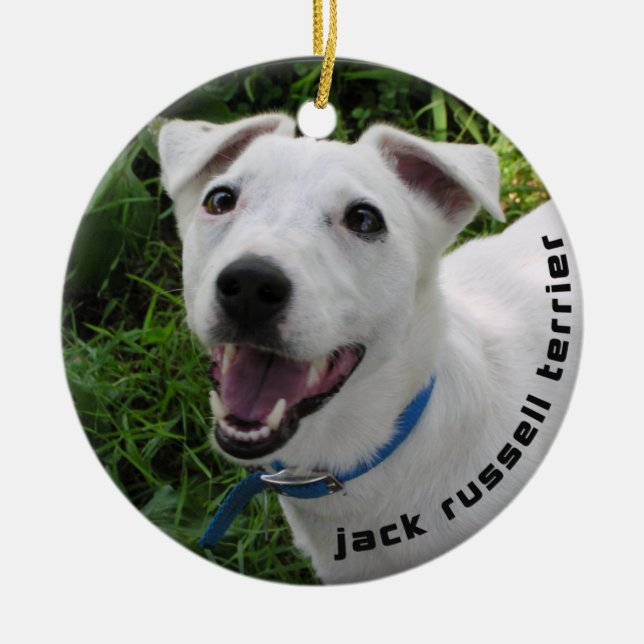 JACK RUSSELL TERRIER ORNAMENT (Front)