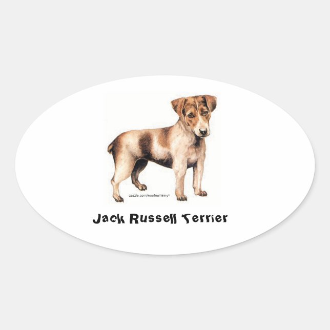 Jack Russell Terrier Oval Sticker (Front)
