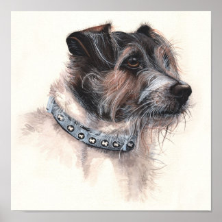 Jack Russell Terrier Painted in Watercolour Poster