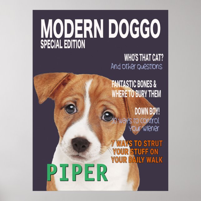 Jack Russell Terrier Parody Magazine Cover Poster (Front)