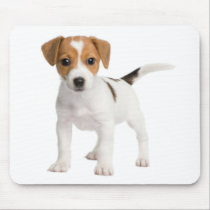 Jack Russell Terrier Puppy Brown And White Dog Mouse Pad