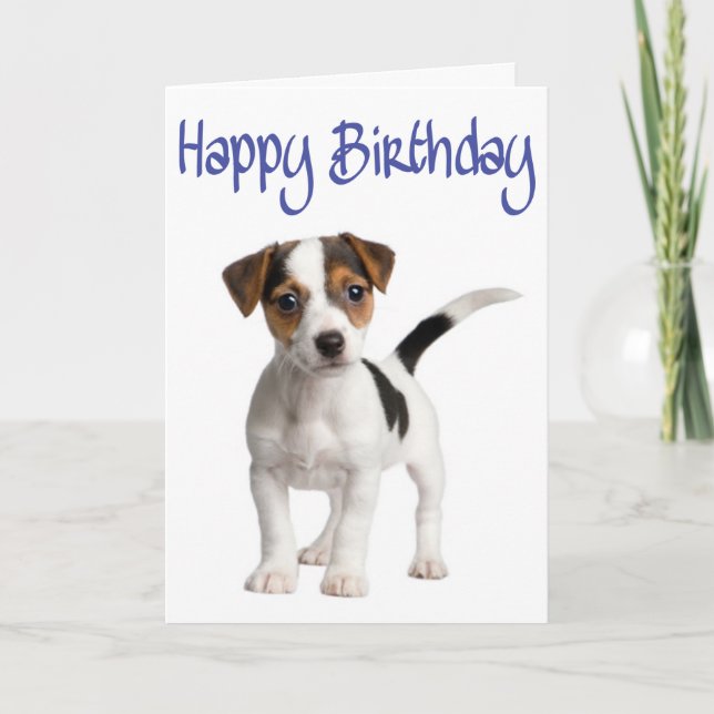 Jack Russell Terrier Puppy Dog Birthday Card (Front)