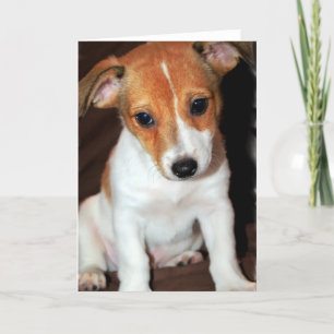 Jack Russell Terrier Puppy Dog  Greeting Card