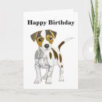 Jack Russell Terrier Puppy