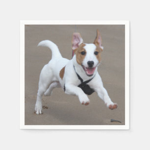 Jack_Russell terrier running 2.png Napkin
