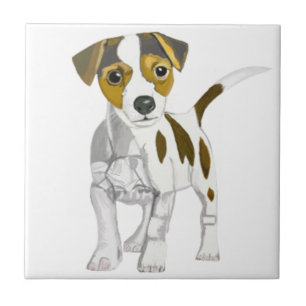 Jack Russell Terrier  Tile