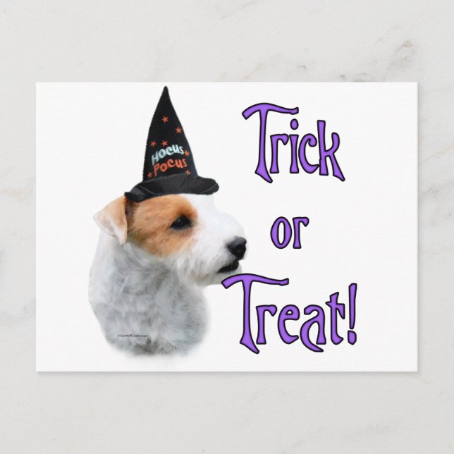 Jack Russell Terrier Trick Postcard (Front)