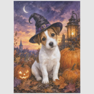 Jack Russell Terrier Witch Hat Pumpkin Tissue Paper
