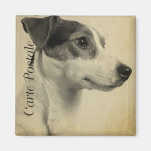 Jack Russell Vintage Postcard Magnet