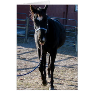 Jack Sticks His Tongue Out