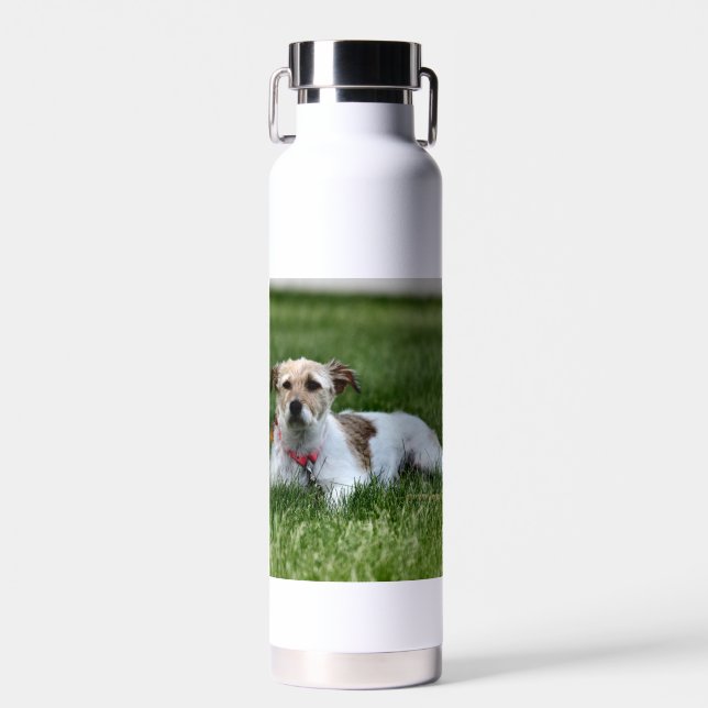 Jack  water bottle (Front)