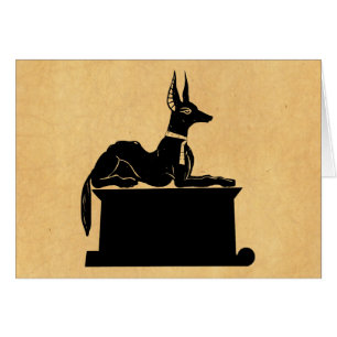 Jackal