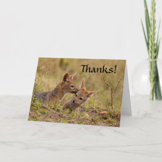 Jackal Cub Thank You Card