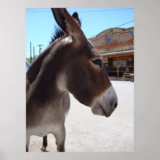 Jackass Poster (Front)