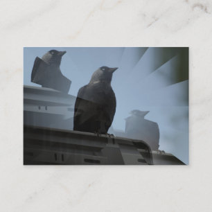 Jackdaw Bird Business Card