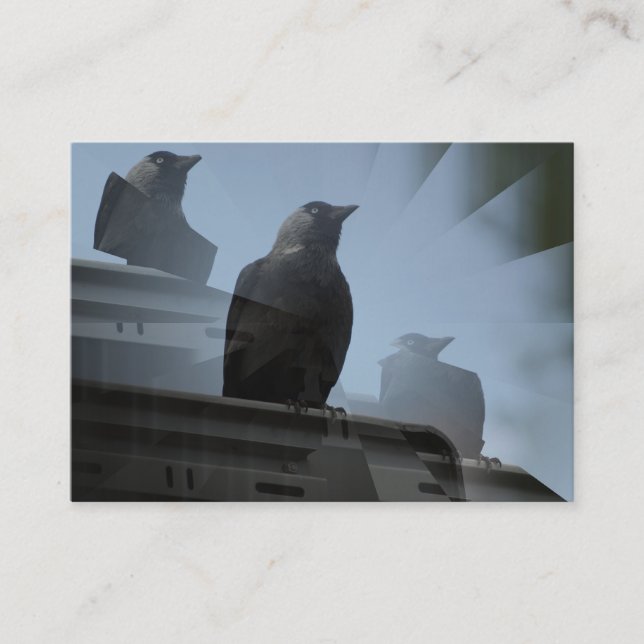 Jackdaw Bird Business Card (Front)