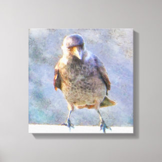Jackdaw Watercolor Canvas Print