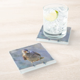 Jackdaw Watercolor Glass Coaster