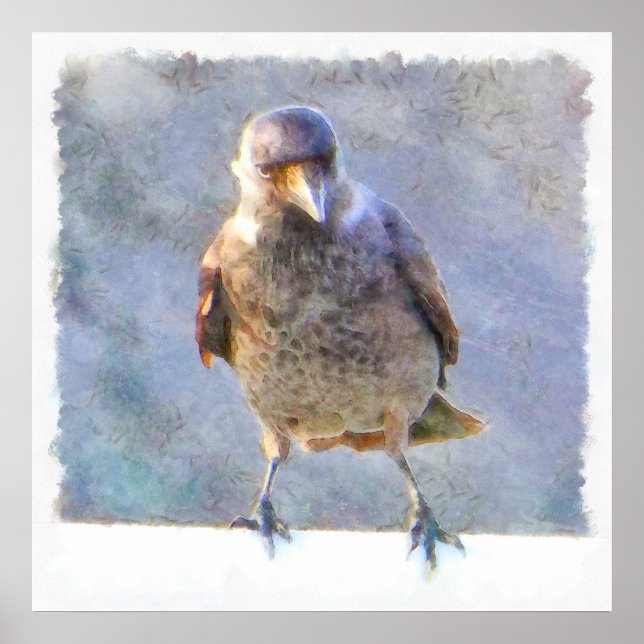 Jackdaw Watercolor Poster (Front)