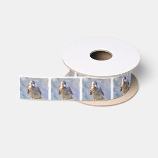 Jackdaw Watercolor Satin Ribbon