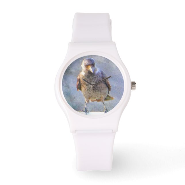 Jackdaw Watercolor Watch (Front)