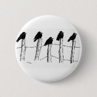 Jackdaws