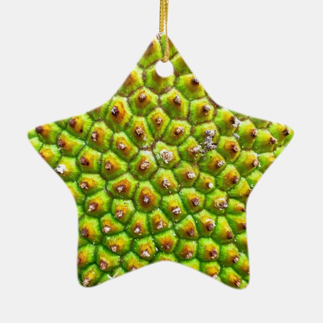 Jackfruit Dble-Sided Star Ornament (Back)