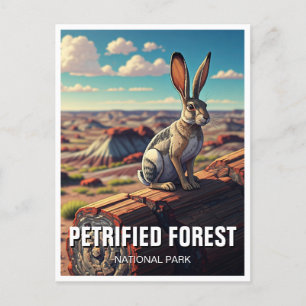 Jackrabbit Petrified Forest National Park Souvenir Postcard