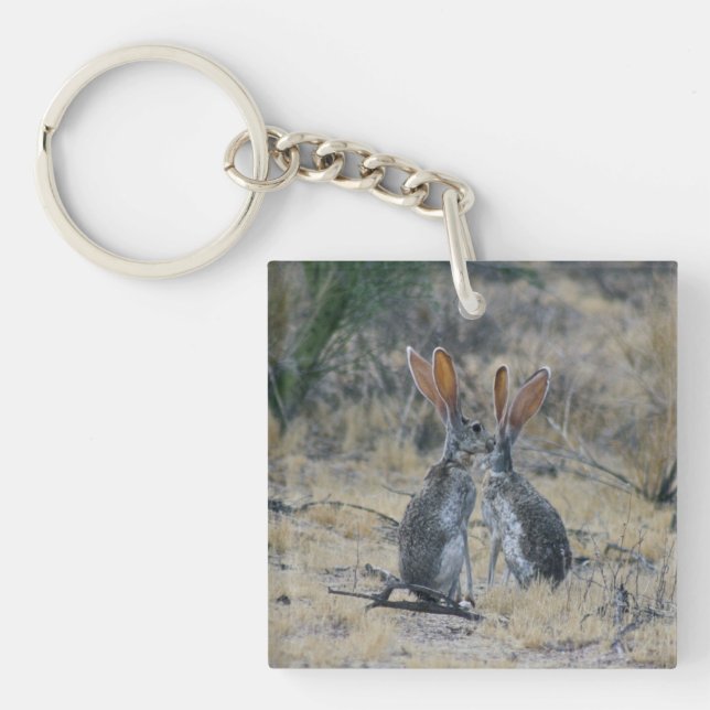 Jackrabbits Acrylic Keychain (Front)