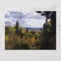 Jackson Hole Series