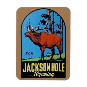 Jackson Hole, Wyoming Magnet
