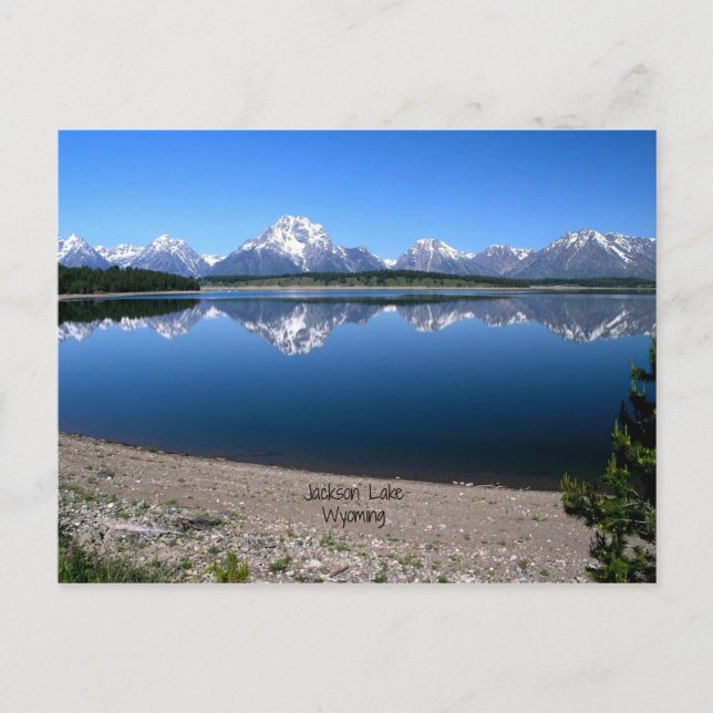 Jackson Lake, Wyoming Postcard (Front)