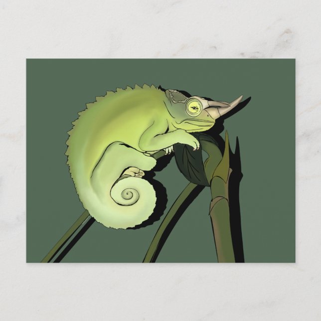 Jackson’s Chameleon Postcard (Front)