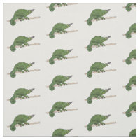 Jackson's chameleon cartoon illustration