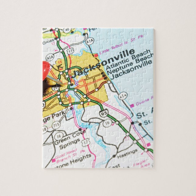 Jacksonville, Florida Jigsaw Puzzle (Vertical)