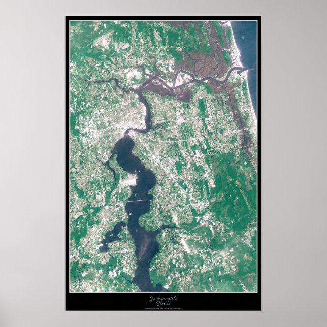 Jacksonville, Florida Satellite Poster (Front)