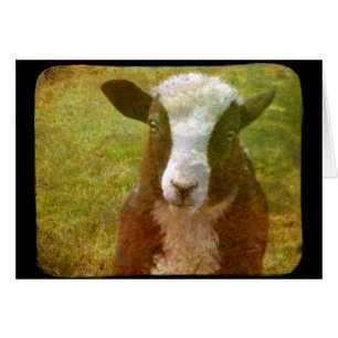 Jacob Lamb