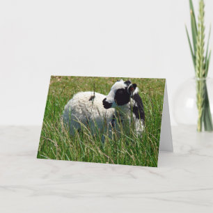 Jacob Ram Lamb Mothers Day Card
