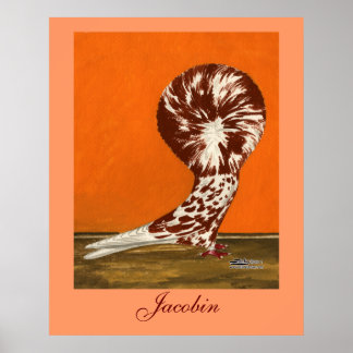 Jacobin Pigeon Red Splash Poster