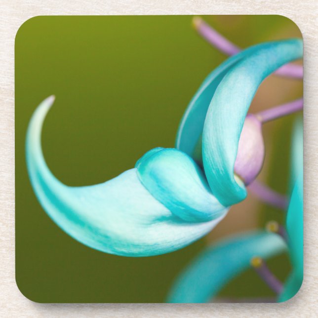 Jade Vine Hard Plastic Coasters (set of 6) (Front)