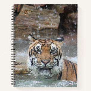 Jafar Notebook