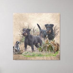 Jagdterrier ,,Bo v. Renbrad Kennel.'' Sticker Pape Canvas Print