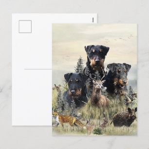 Jagdterriers v. Renbrad Kennel Holiday Postcard