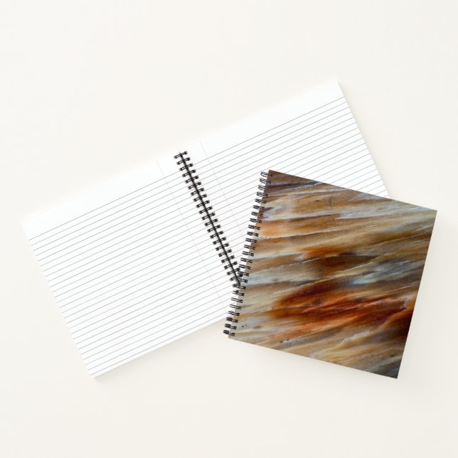 Jagged Petrified Wood Notebook (Inside)