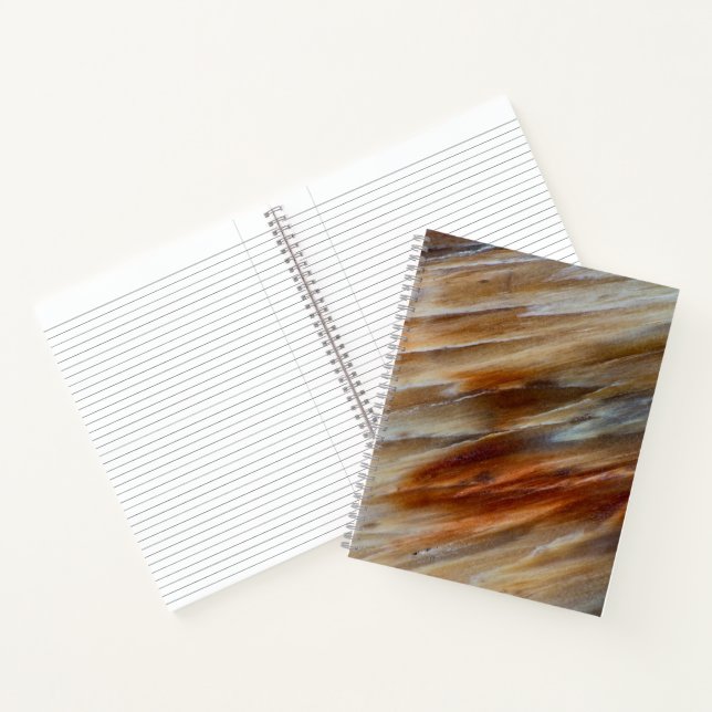 Jagged Petrified Wood Notebook (Inside)