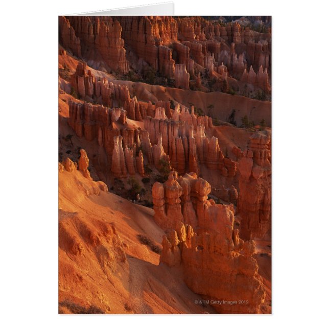 Jagged rock formations (Front)