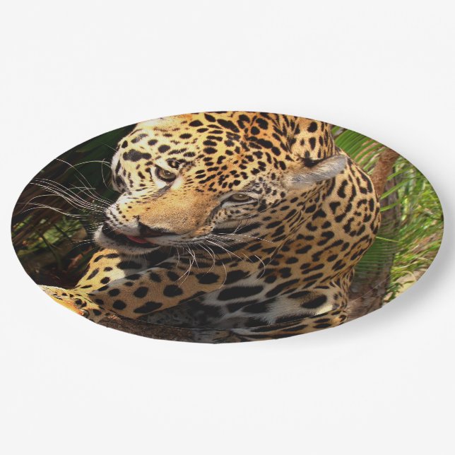 Jaguar Adolescent Paper Plate (Angled)