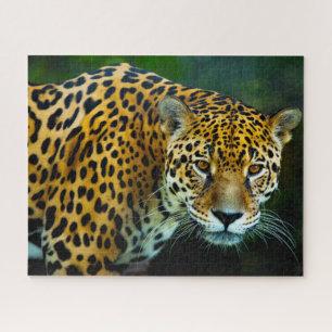 Jaguar Big Cats . Jigsaw Puzzle