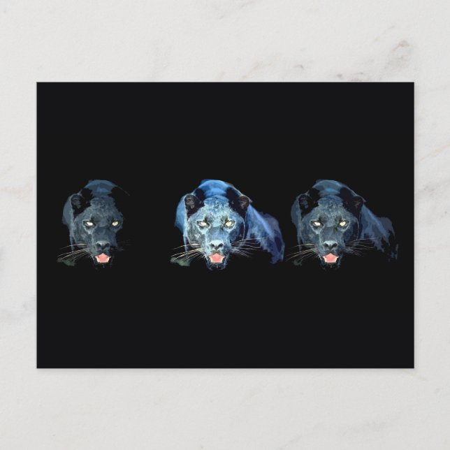 Jaguar - Black Panther Postcard (Front)