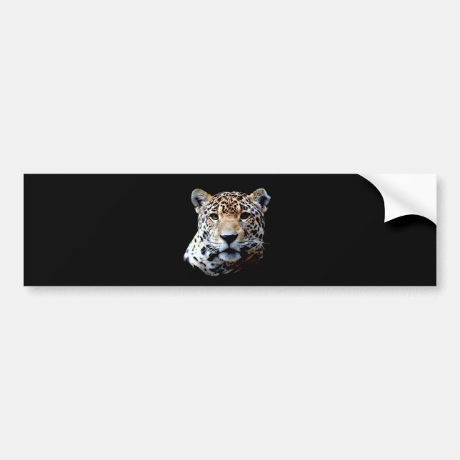 Jaguar Bumper Sticker (Front)